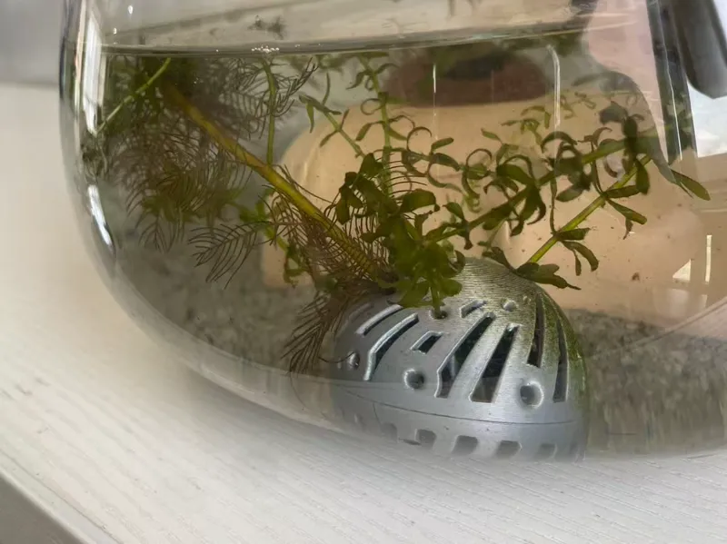 水草固定岩