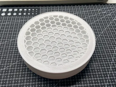 Turtle Poop Collector and Basking Platform
