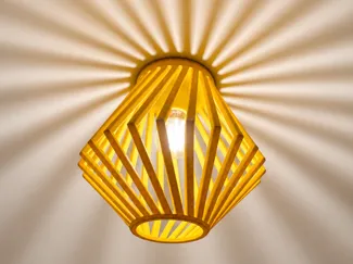 Radiant Ceiling Lamp shade