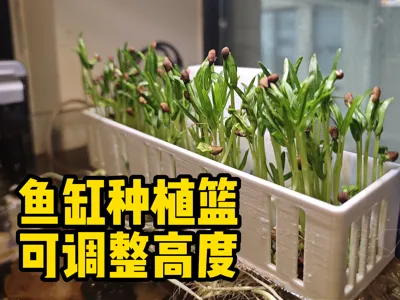 Aquarium Planting Basket Grow Box