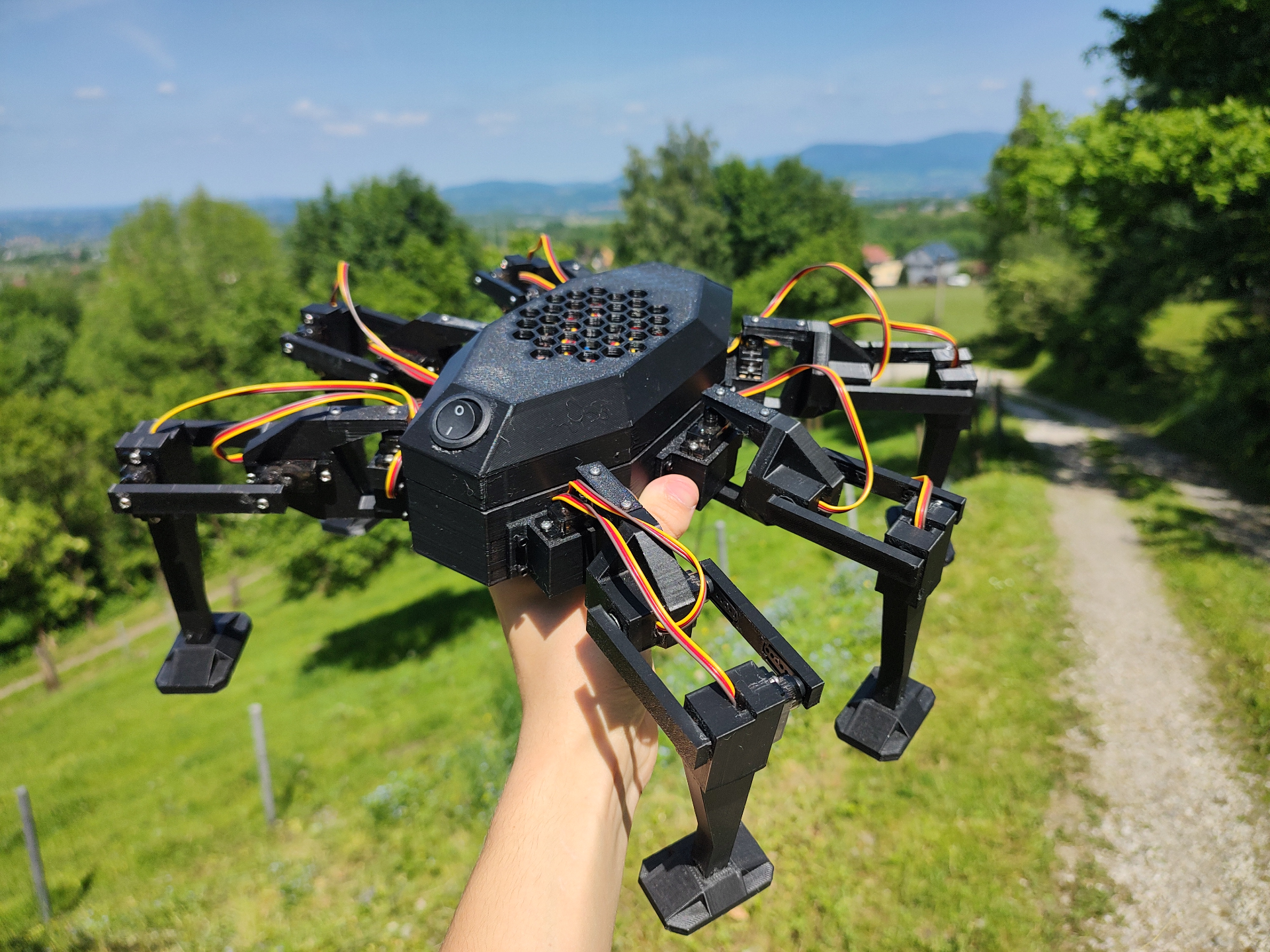 Hexapod - under 100€