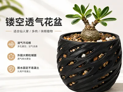 Hollow breathable planter | Suitable for cacti, succulents, caudex plants