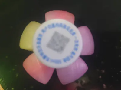 Fidget Ball Cub