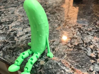 Pickle Buddy