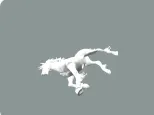Friesian Horse