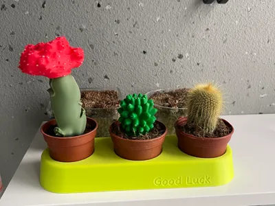 I ruined my IKEA triple cactus again