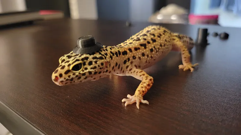 Tiny Reptile Headwear