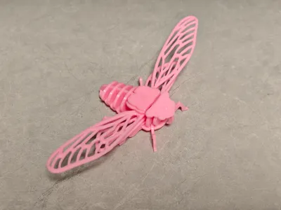 Cicada - 3D Puzzle