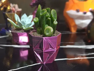 Minimalist Rhombus Cup Succulent Pot