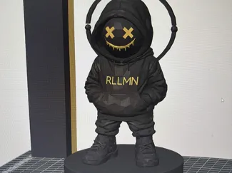 RLLMN