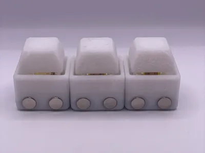 Magnetic Fidget Clicker (6×3 mm Magnets, 8 Total)