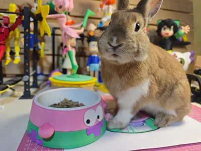Patrick Star's Brain-Powered Eating Bowl