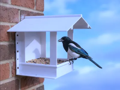Rain-proof bird feeder