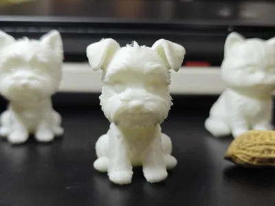 Schnauzer miniature model