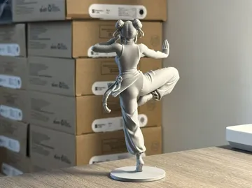 Modelo para impresión 3D: 国风格斗少女 功夫武术 模型摆件 高精细 倒置打印 — vista de referencia 5