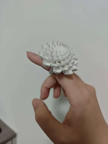 Modelo para impresión 3D: 花之戒“雏菊” — vista de referencia 5