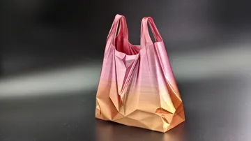 Modelo para impresión 3D: 丝绸质感塑料袋花瓶 — vista de referencia 4