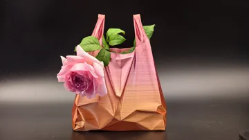 Modelo para impresión 3D: 丝绸质感塑料袋花瓶 — vista de referencia 5