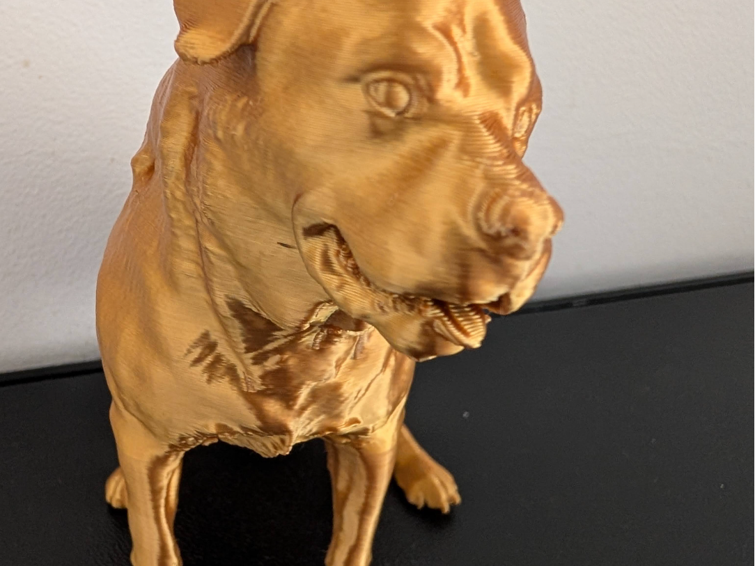 rottweiler 3D model