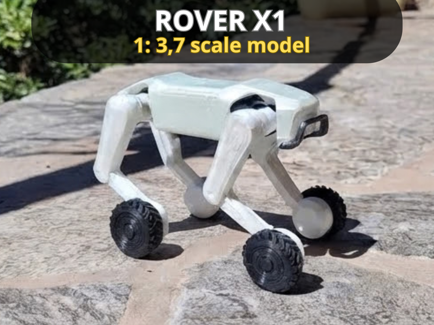 Rover X1 escala 1:3.7 3D model