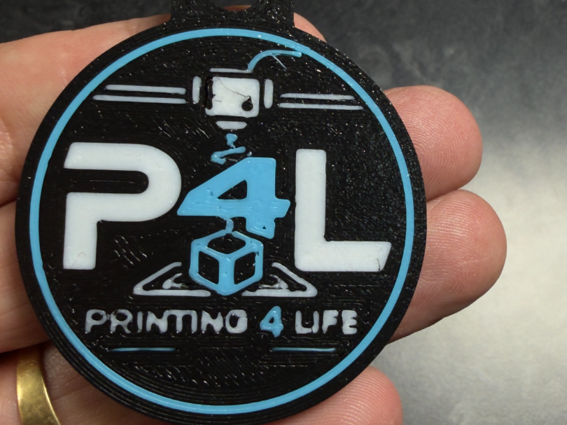 P4L+Keychain 3D model