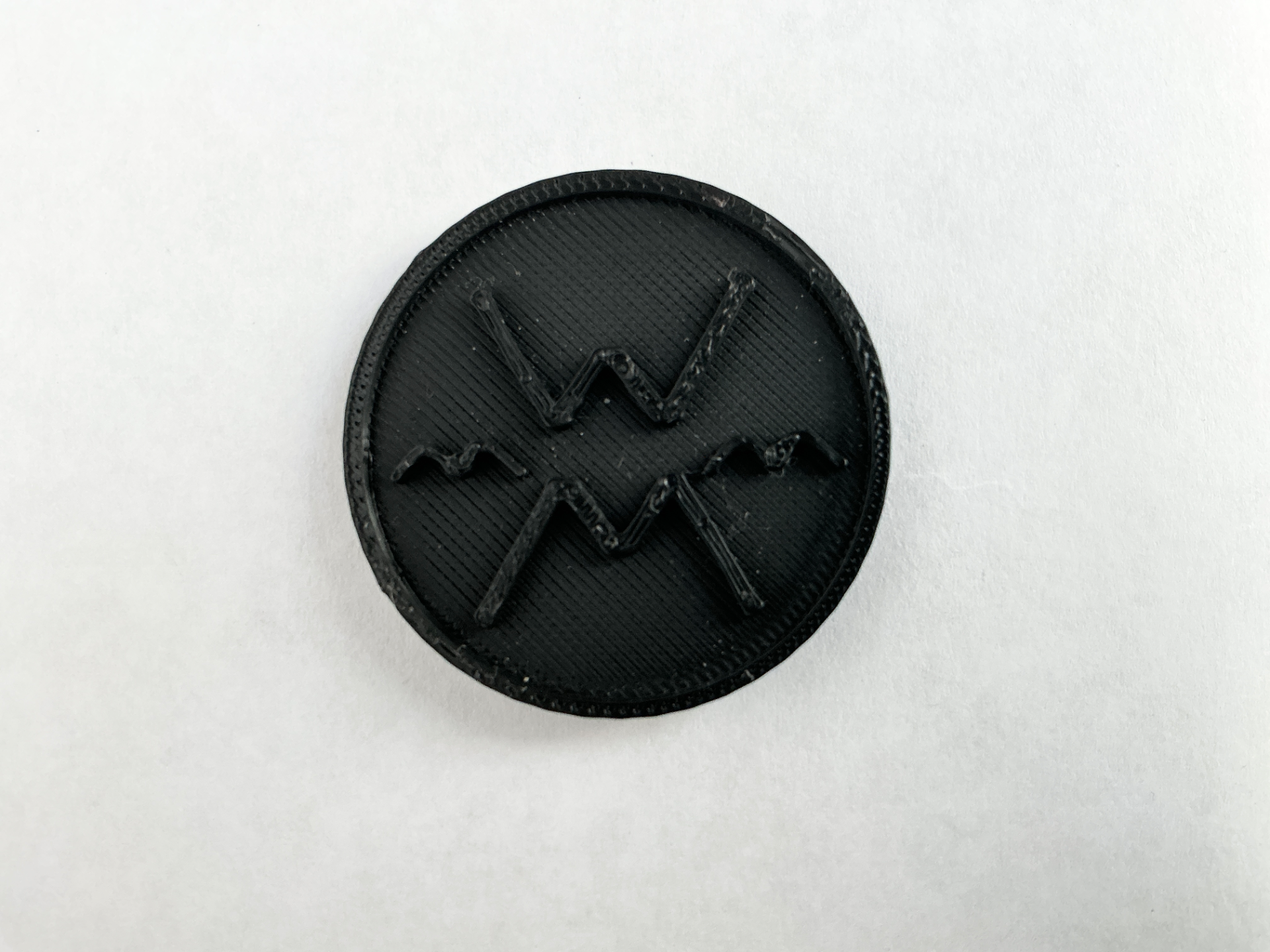 Werner Paddles badge 3D model