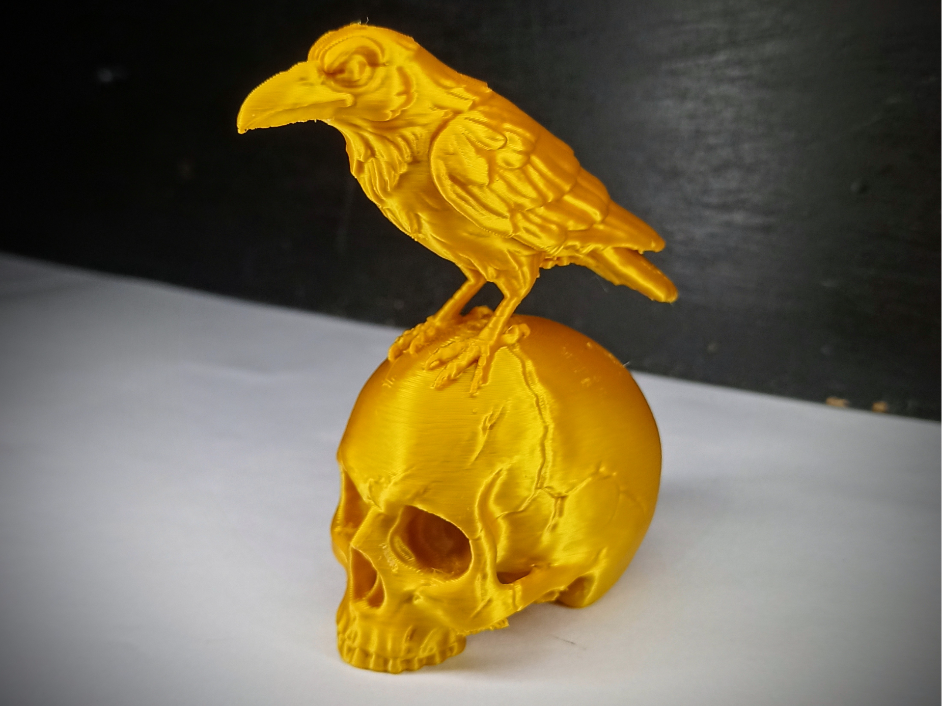 CROW ON SKULL 3D model