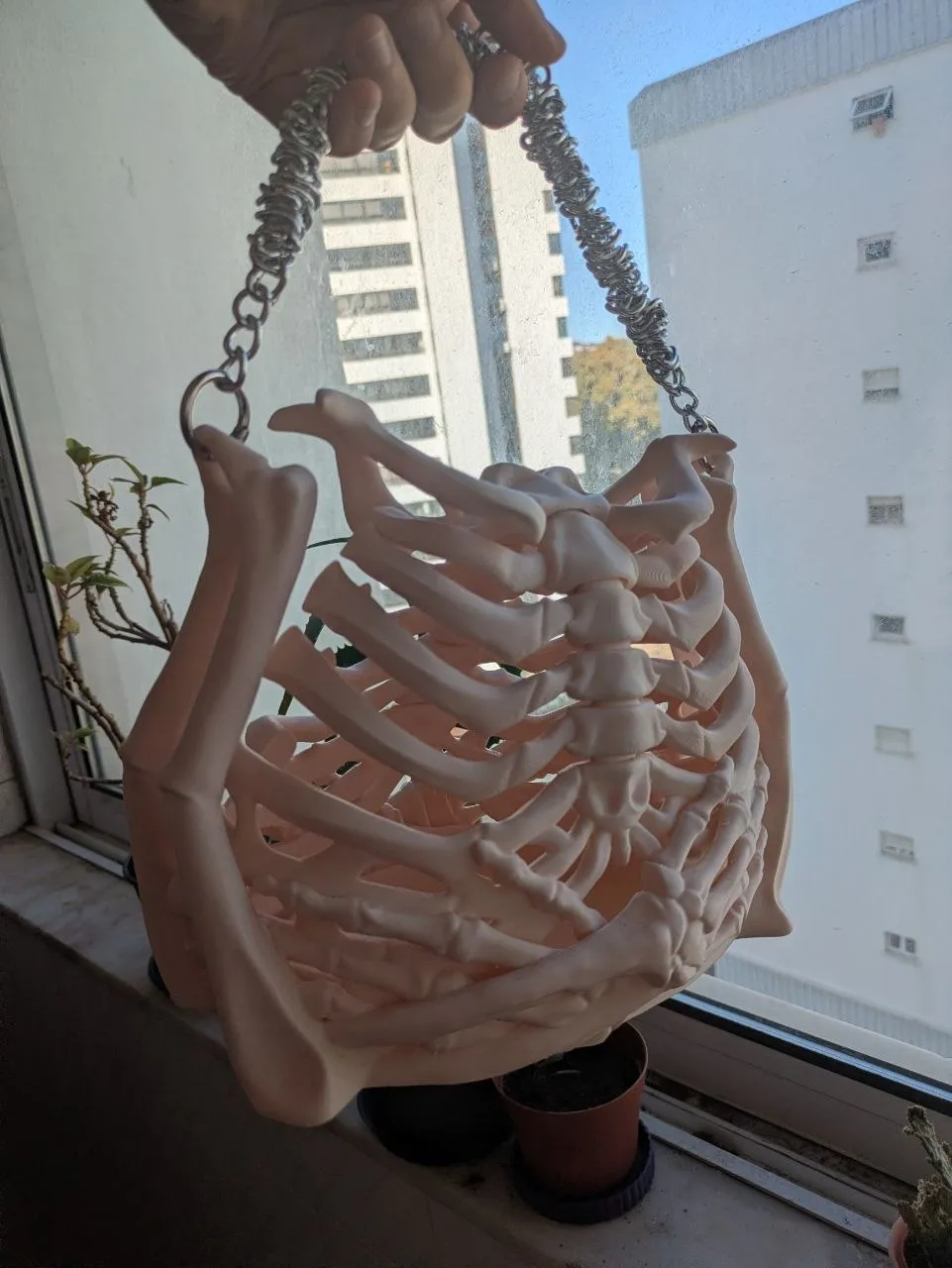 Little Skeleton Models Skeleton / bone Bag - Free 3D Print Model - MakerWorld