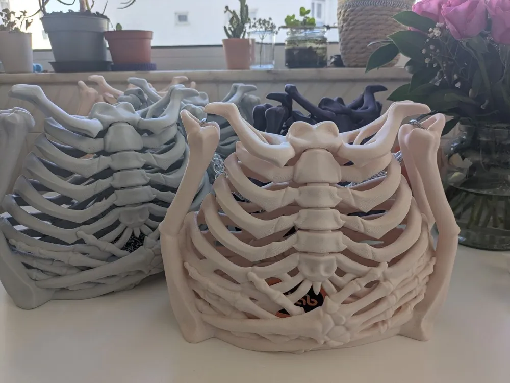 Little Skeleton Models Skeleton / bone Bag - Free 3D Print Model - MakerWorld