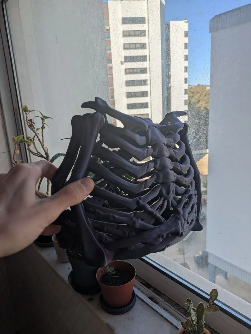 Little Skeleton Models Skeleton / bone Bag - Free 3D Print Model - MakerWorld