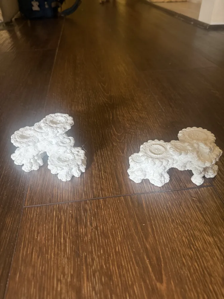 Reef Accent - Free 3D Print Model - MakerWorld