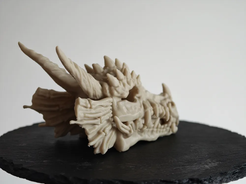 Draqgon Image Ancient Dragon Skull - Free 3D Print Model - MakerWorld