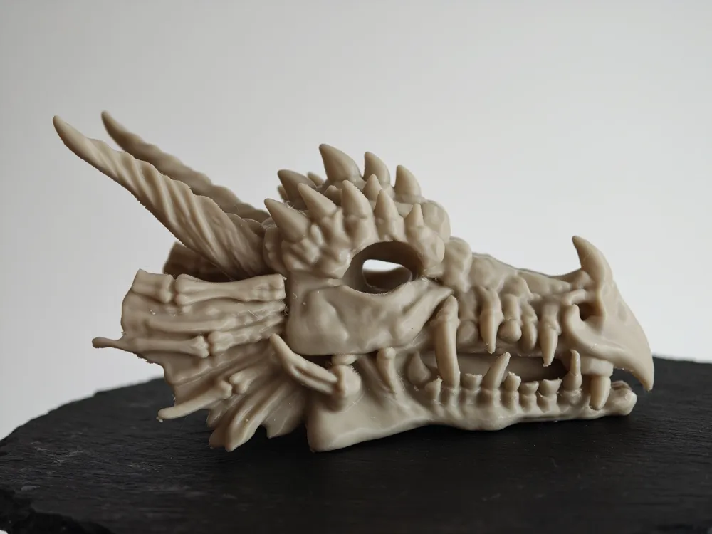 Draqgon Image Ancient Dragon Skull - Free 3D Print Model - MakerWorld