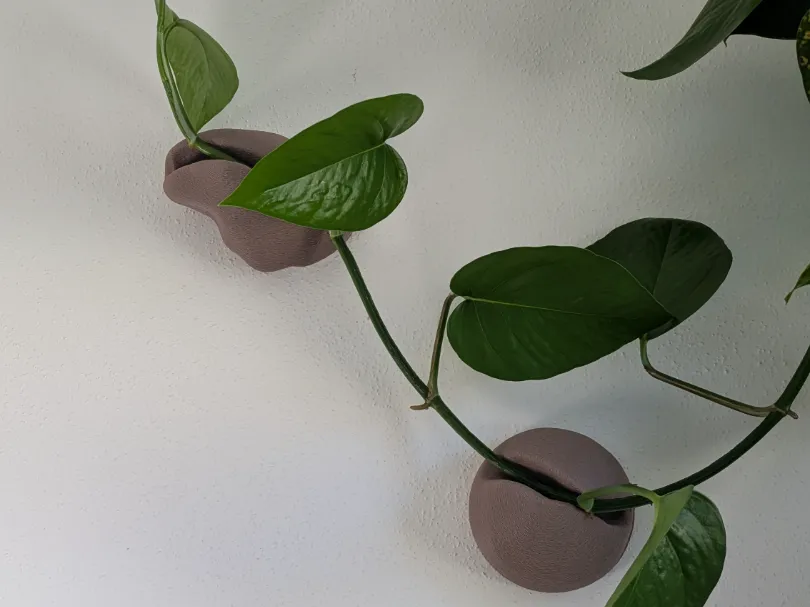 Pebble Path — Open Cradle Plant Wall Support - Free 3D Print Model ...