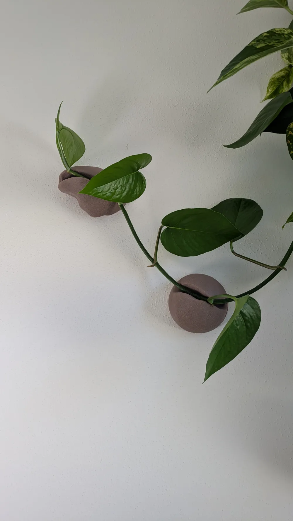 Pebble Path — Open Cradle Plant Wall Support - Free 3D Print Model ...