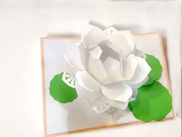 https://makerworld.bblmw.com/makerworld/model/DSUS0000001341675/design/2025-04-21_58fc51129355a.jpg