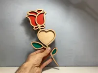 Rose