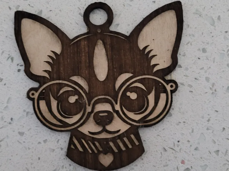 Chihuahua wearing glasses