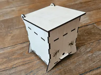 Mini Wooden Beehive with Interchangeable Frames