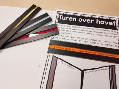Reading Highlight Strips