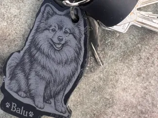 Pomeranian / Kleinspitz / Hund / Schlüsselanhänger