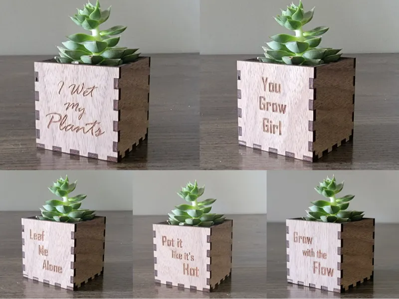 Funny Succulent Holder 57mm