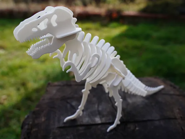 https://makerworld.bblmw.com/makerworld/model/DSUS0000001582947/design/2025-07-07_5d9344d69259a8.jpg
