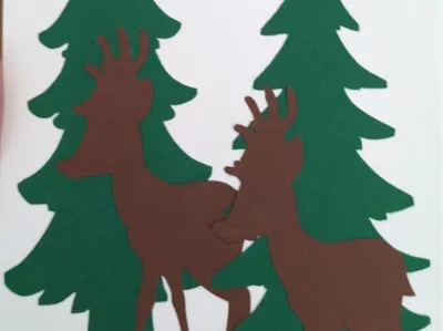 Wildlife Park Birthday Card