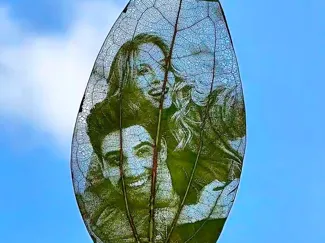Leaf Engraving