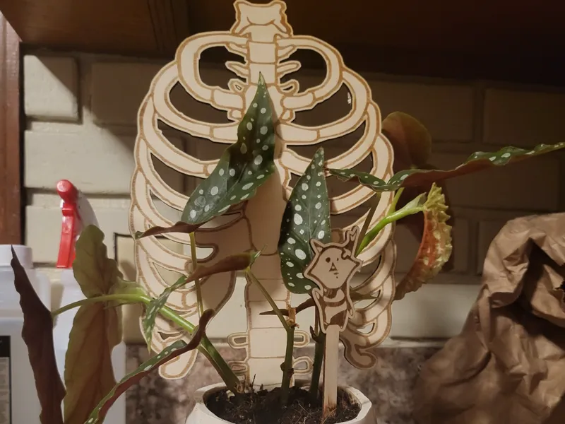 Skeleton Trellis