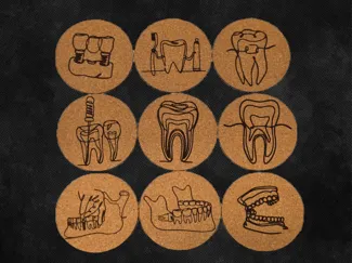 Anatomical Coaster Set - Dental