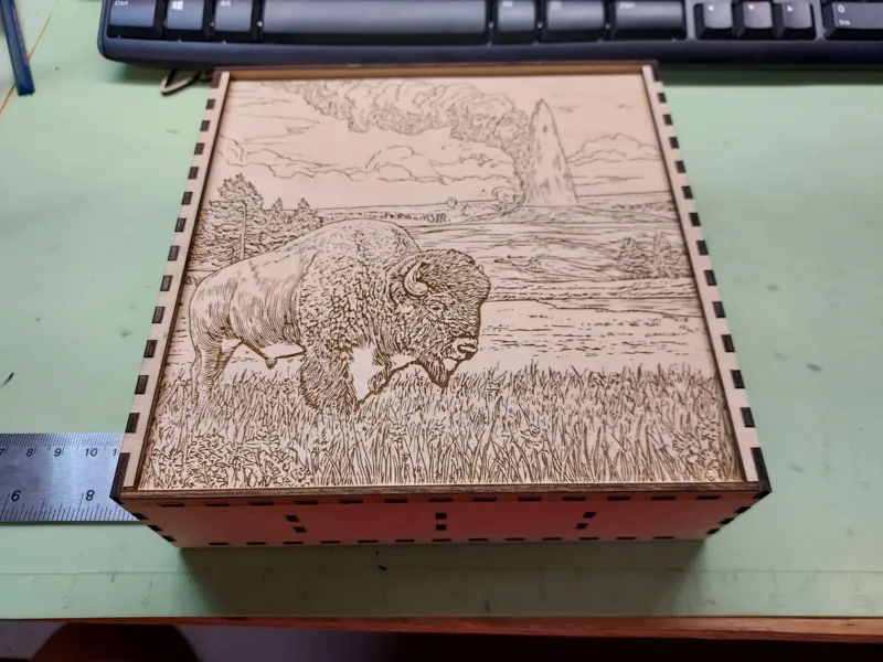 Bison Trinket Box
