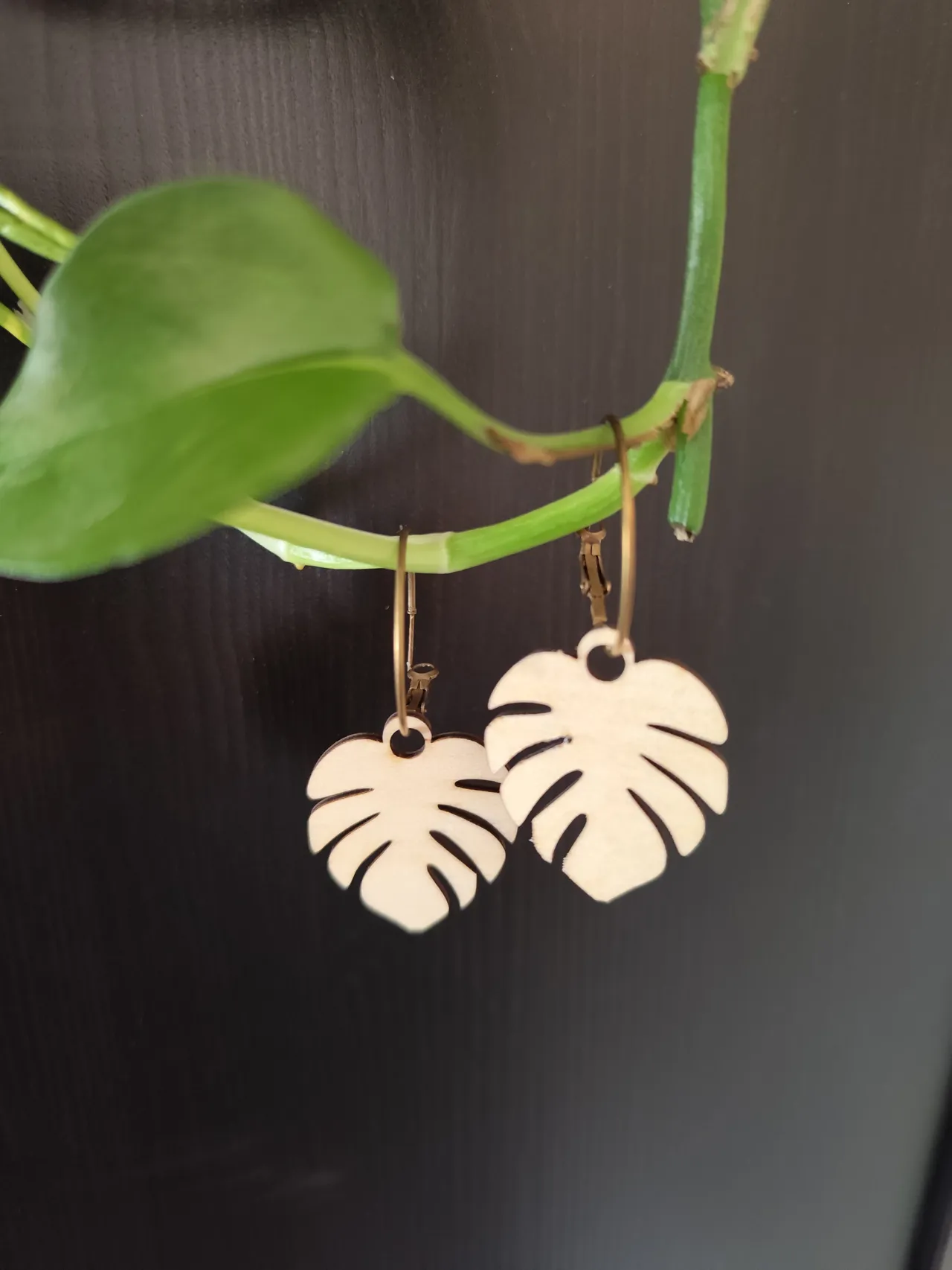 Monstera Earrings Bundle view 3