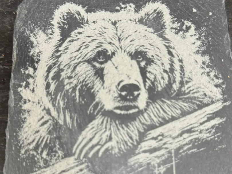 Bear Design Slate Coaster by Behold81 MakerWorld: Download Free 3D Models - 3D model önizlemesi